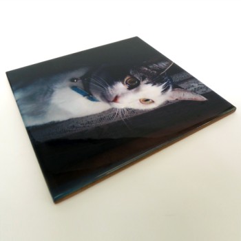 Azulejo personalizado 10x10cm Azulejo personalizado 10x10cm