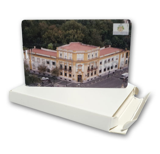 Pendrive tarjeta USB de 32GB con estuche