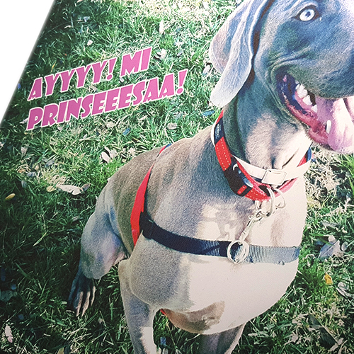 Detalle del bastidor de madera y montaje del lienzo personalizado 40x40cm